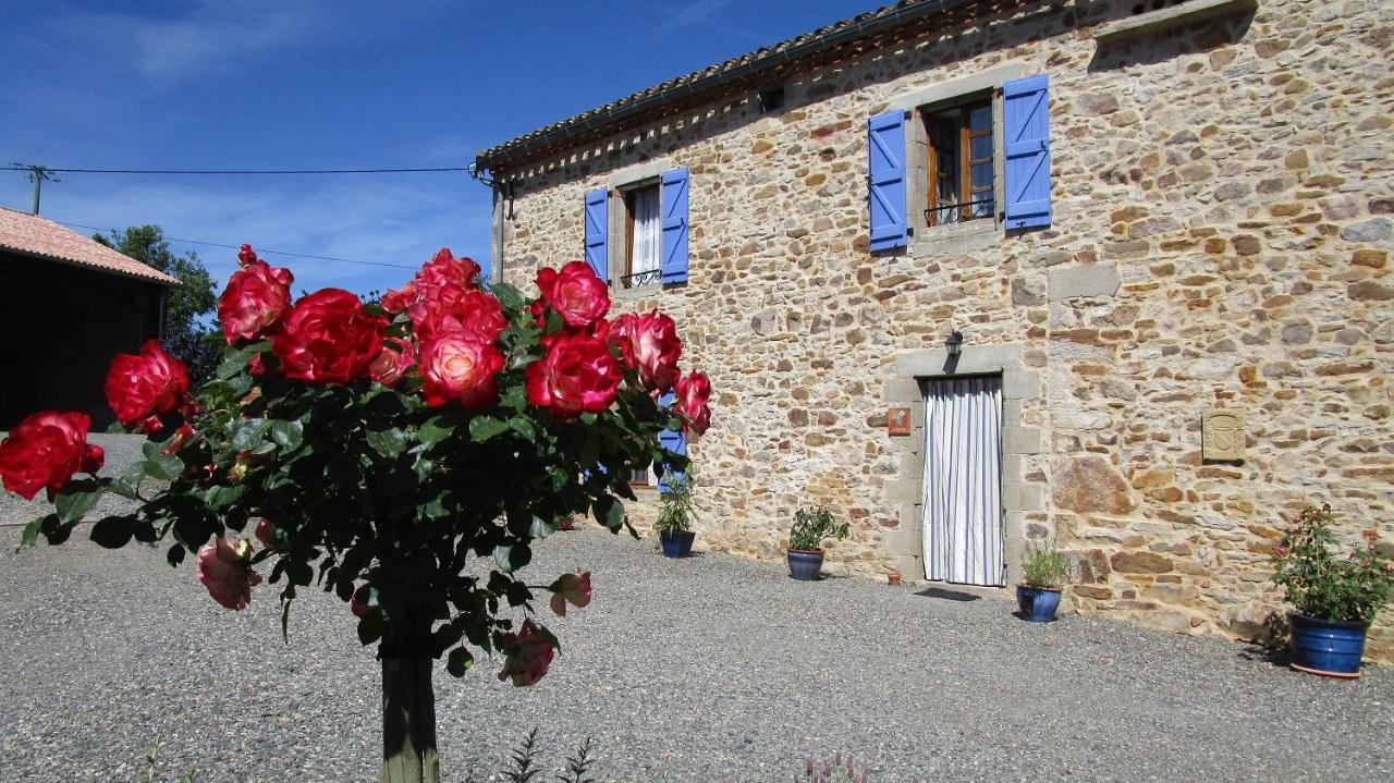 Gites & Chambres D'Hotes Peyrecout Laparrouquial Exterior foto